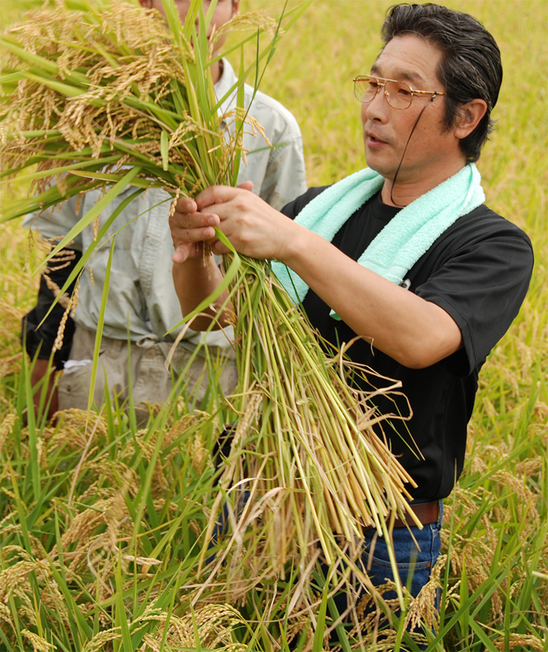 関東の米蔵・早場米の産地